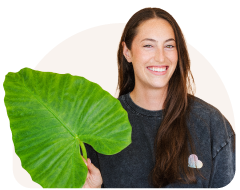 Fusion-Signage-Helpful-Resources-Chat-03