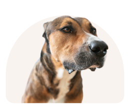 Fusion-Signage-Our-Story-Meet-Amber-2026-01